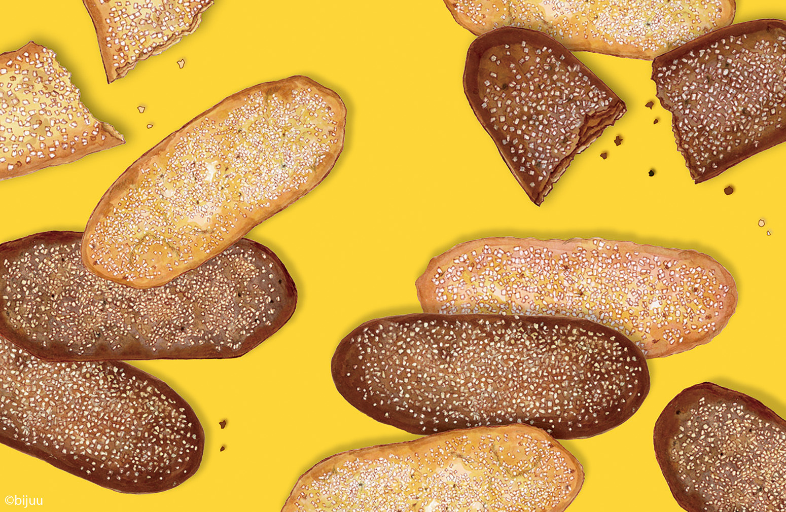 Picture of the author