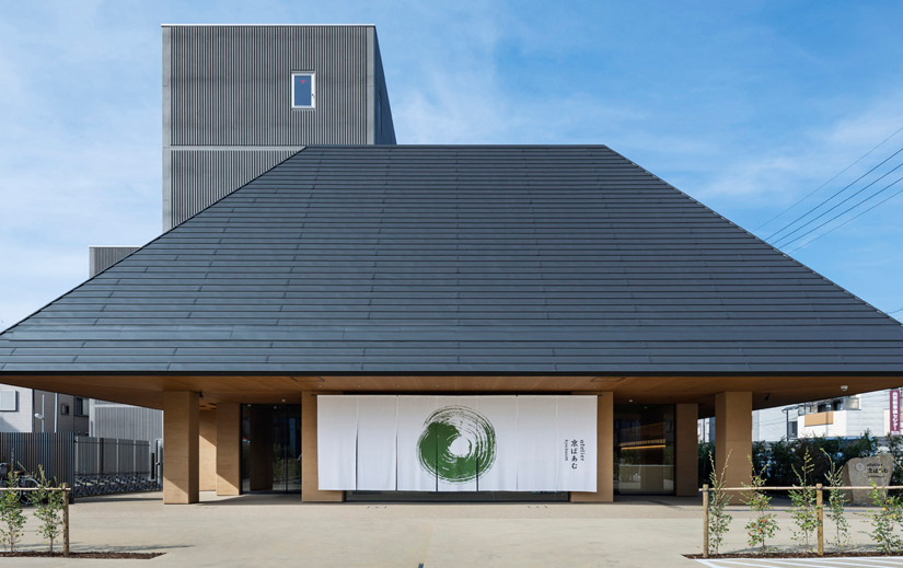 Picture of the author